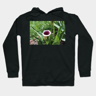 Calla Lily Side Photographic Image Hoodie